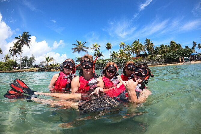 San Juan: Snorkeling with Turtles Adventure and Free Videos - The Value and Practical Considerations
