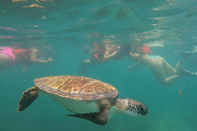 San Juan: Snorkeling with Turtles Adventure and Free Videos - Why This Tour Might Be Perfect for You