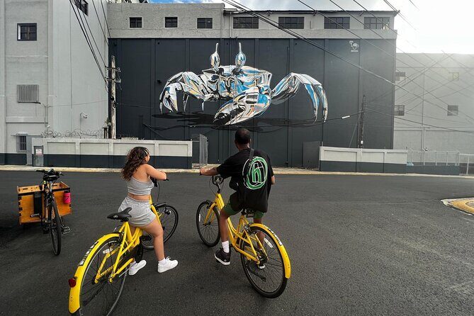 San Juan Urban Art Bike Tour 2 Hour and 4 Hour Options - Key Points
