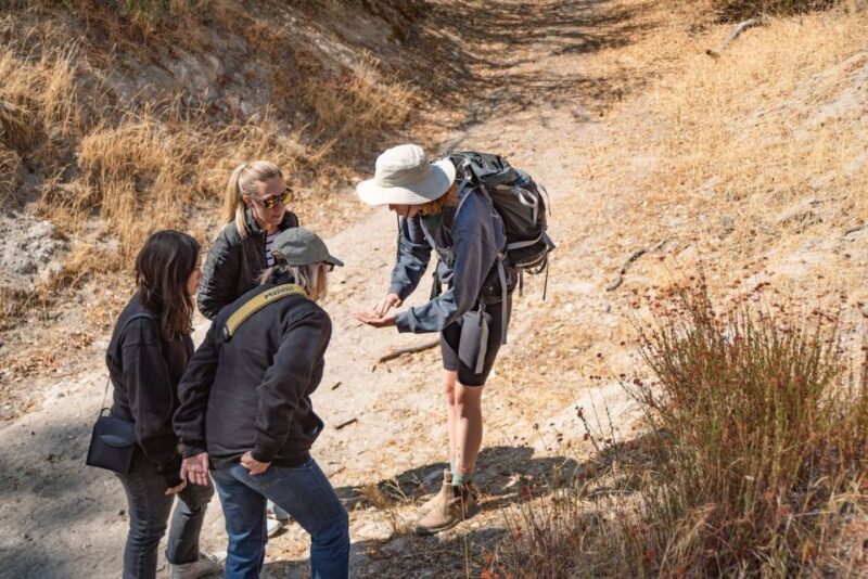 San Luis Obispo: Margarita Ranch Foraging Tour - An In-Depth Look at the Margarita Ranch Foraging Tour