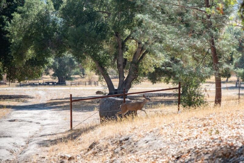 San Luis Obispo: Margarita Ranch Foraging Tour - Final Thoughts
