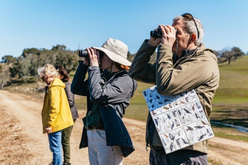 San Luis Obispo: Santa Lucia Guided Nature Tour - What You’ll See and Learn