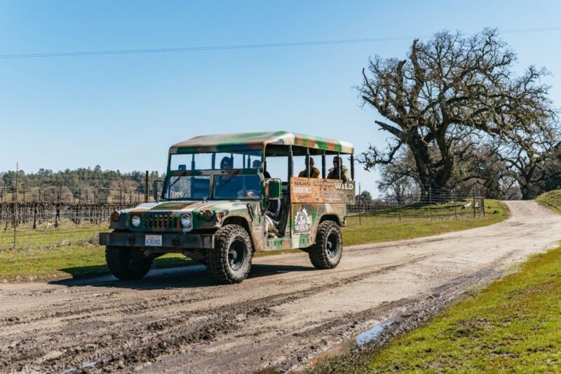 San Luis Obispo: Santa Lucia Guided Nature Tour - The Practical Side: Logistics and Value