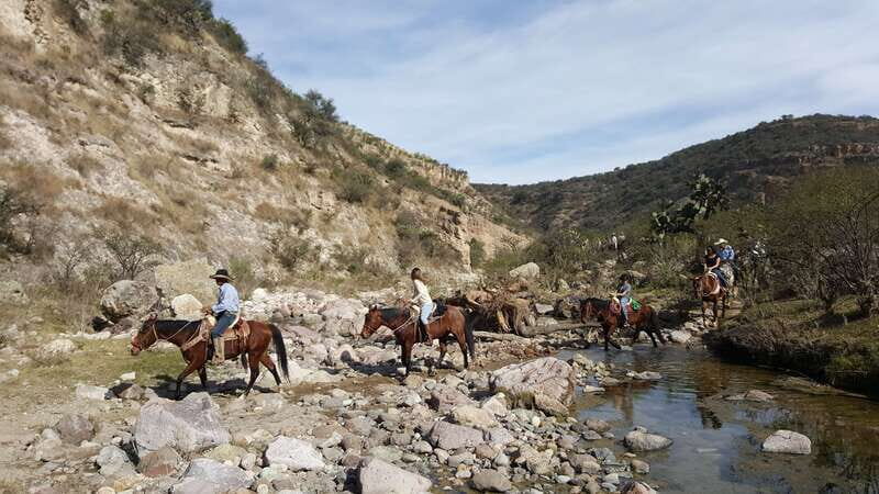 San Miguel Allende: Half-Day Horseback Riding Adventure - A Deep Dive Into the Horseback Riding Experience