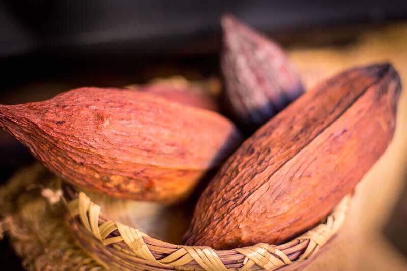 San Miguel de Allende: Chocolate Tasting and Walking Tour - What Sets This Tour Apart