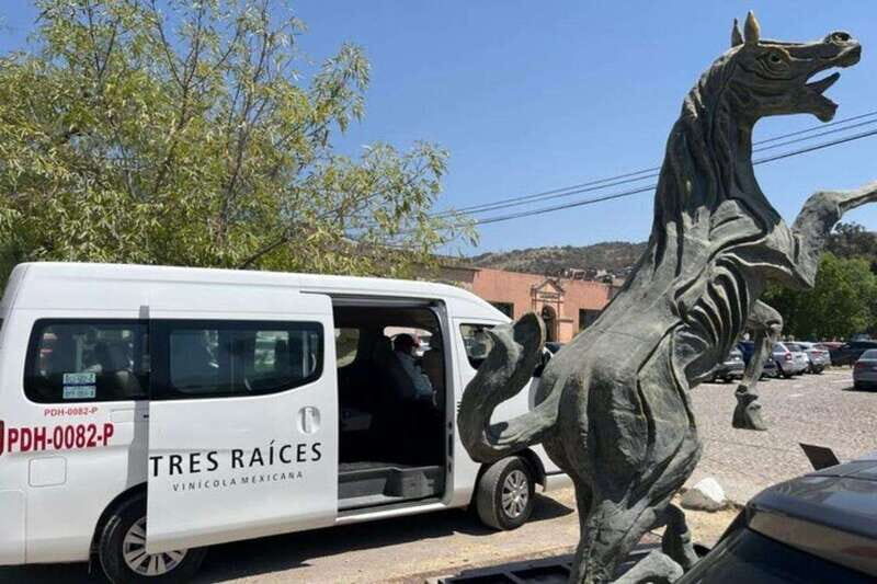 San Miguel de Allende: Local Vineyard Tour & Wine Tasting - An In-Depth Look at the Vineyard Experience