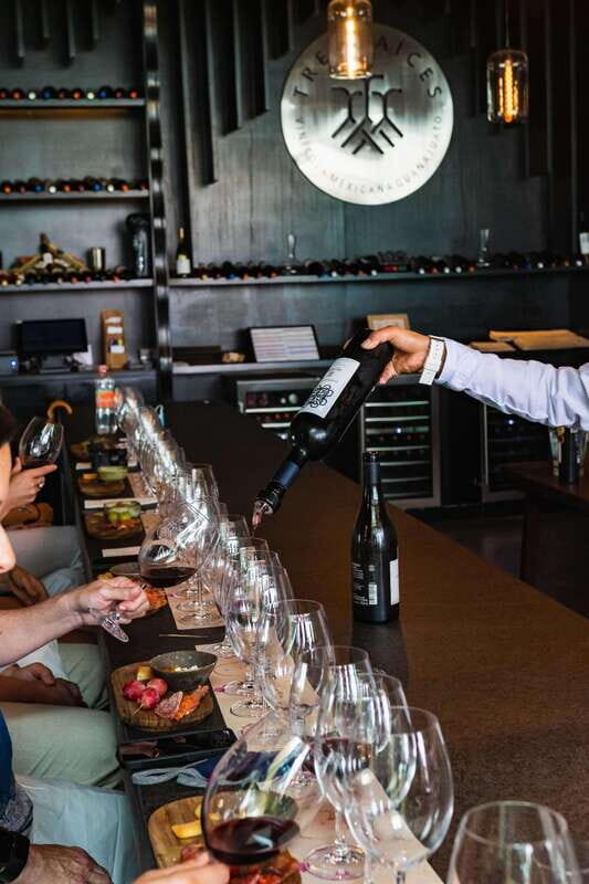 San Miguel de Allende: Local Vineyard Tour & Wine Tasting - Final Thoughts