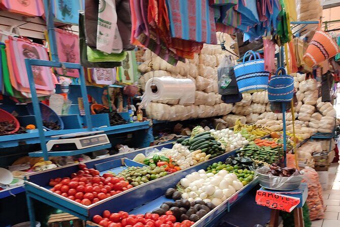 San Miguel de Allende Walking Tour - Introduction to the Tour Experience