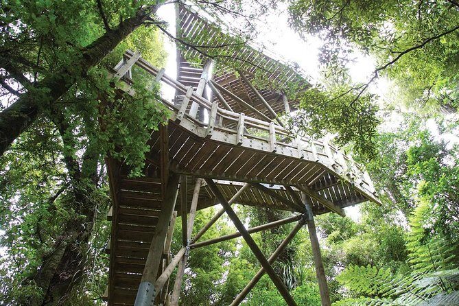 Sanctuary Mountain (Mt Maungatautari) & Hamilton Gardens Day trip from Auckland - An In-Depth Look at the Tour
