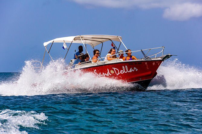Sand Dollar Half Day Snorkel Trip - The Value and Price Point