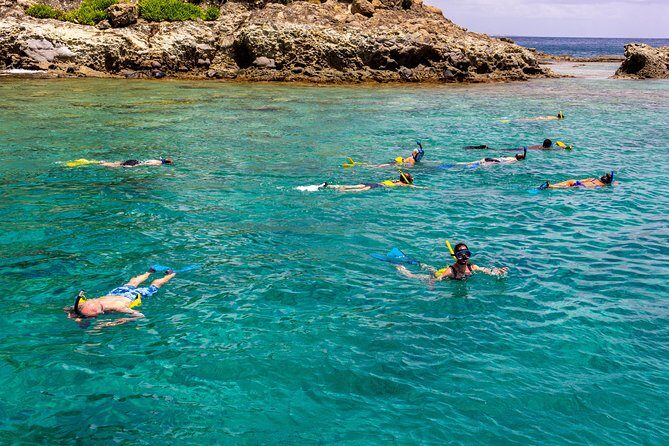 Sand Dollar Half Day Snorkel Trip - Authentic Experiences and Highlights from Travelers