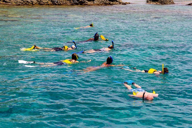 Sand Dollar Half Day Snorkel Trip - The Sum Up: Is the Sand Dollar Snorkel Trip Worth It?