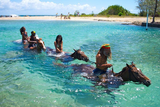 Sand n Saddle Horseback Ride & Swim Tour from Falmouth - Who Will Love This Tour?