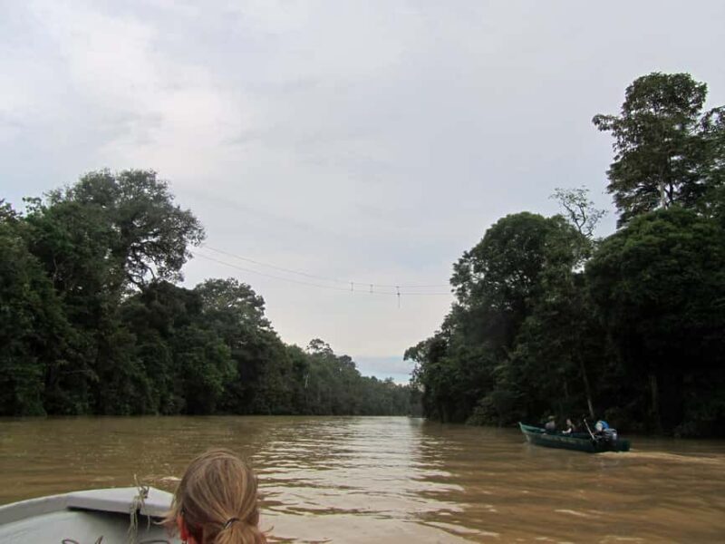 Sandakan: Gomantong Cave Echoes & Kinabatangan River Safari - What to Expect from Your Day