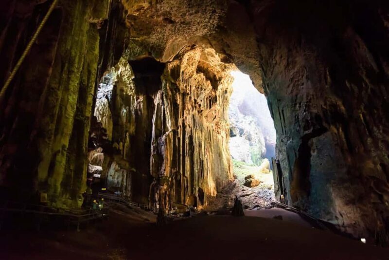 Sandakan: Gomantong Cave Echoes & Kinabatangan River Safari - Final Thoughts