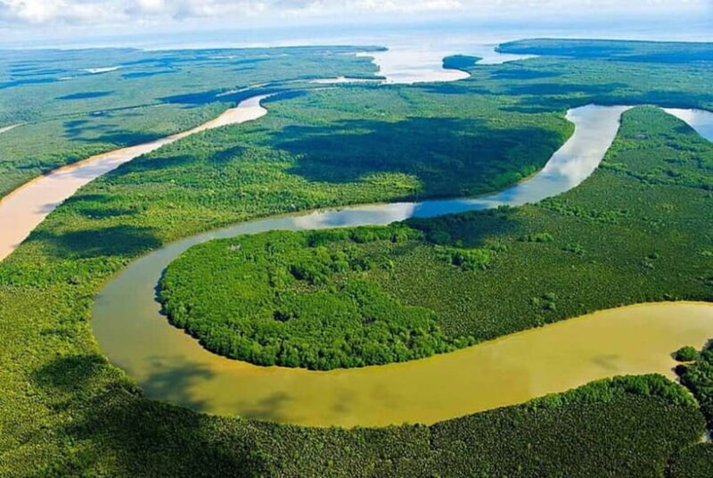 Sandakan: Kinabatangan River Wildlife Cruise with Lunch - An In-Depth Look at the Kinabatangan River Wildlife Cruise