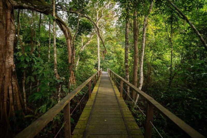Sandakan: Kinabatangan River Wildlife Cruise with Lunch - FAQs