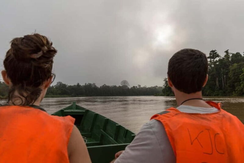 Sandakan: Sukau Rainforest Wildlife Journey & Dawn Cruises - Exploring the Details of the Wildlife Journey