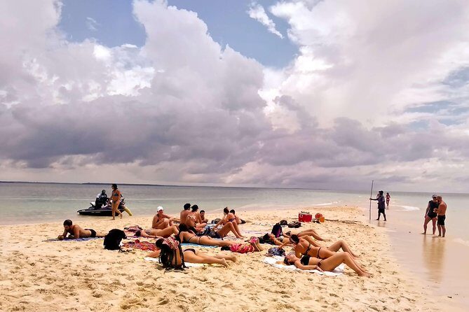 Sandbank Picnic and Dhow Sailing with Seafood Lunch - Key Points