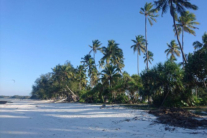 Sandbank Picnic and Dhow Sailing with Seafood Lunch - FAQs
