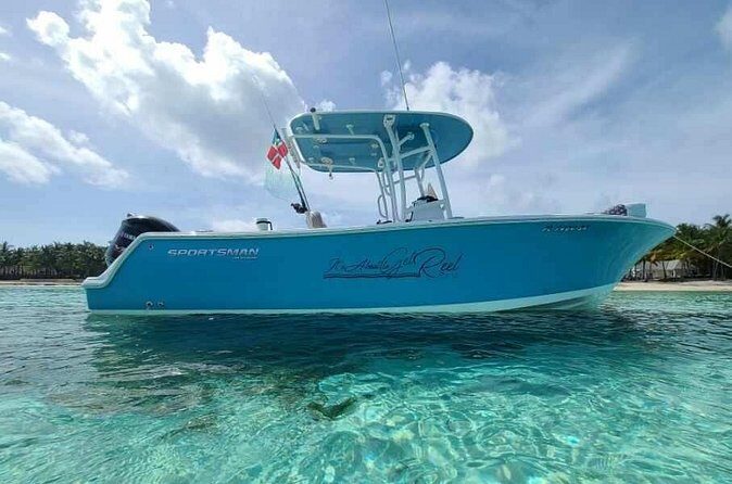 Sandbar, Beach, Dolphin Watching Cruise Sarasota, Florida - Pricing and Value