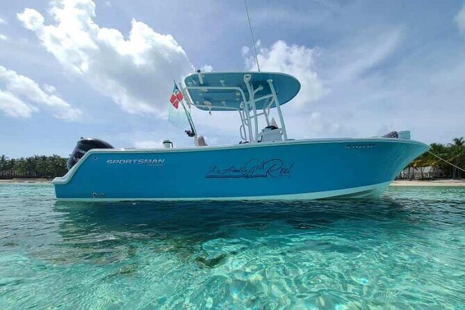 Sandbar, Beach, Dolphin Watching Cruise Sarasota, Florida - Why This Tour Stands Out