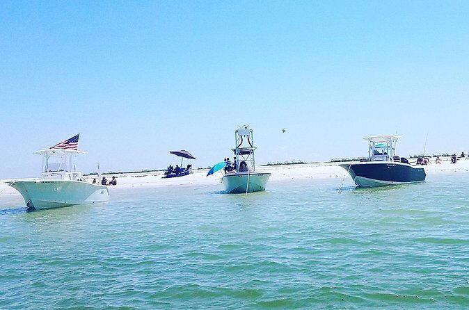 Sandbar, Beach, Dolphin Watching Cruise Sarasota, Florida - Frequently Asked Questions