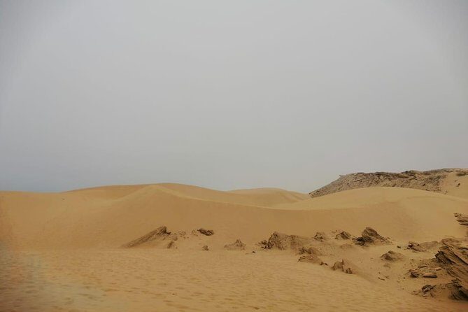 Sandboarding guided experience from Agadir - A Detailed Look at the Sandboarding Tour Experience