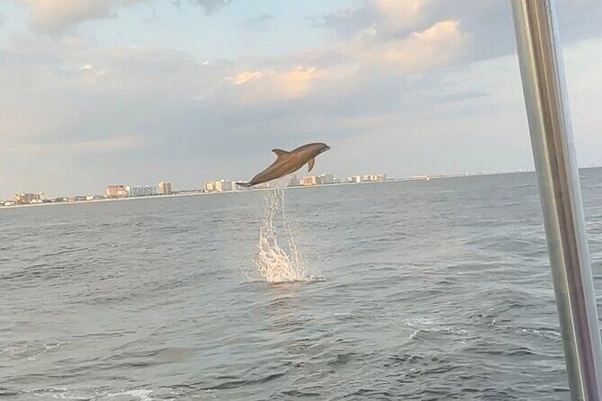 Sandestin Sunset Eco-Dolphin Cruise Aboard Sol y Luna - The Itinerary in Detail