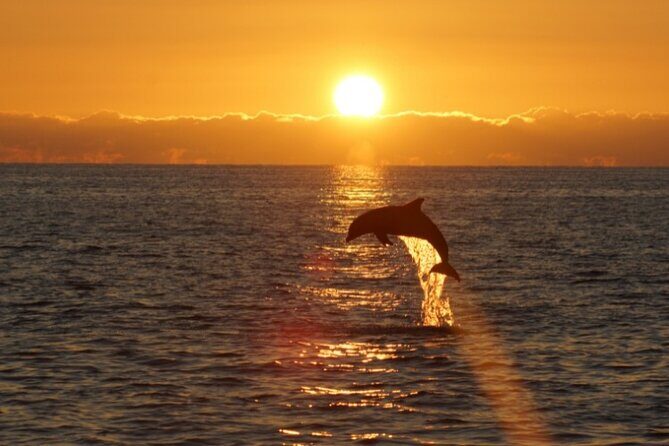 Sandestin Sunset Eco-Dolphin Cruise Aboard Sol y Luna - FAQ