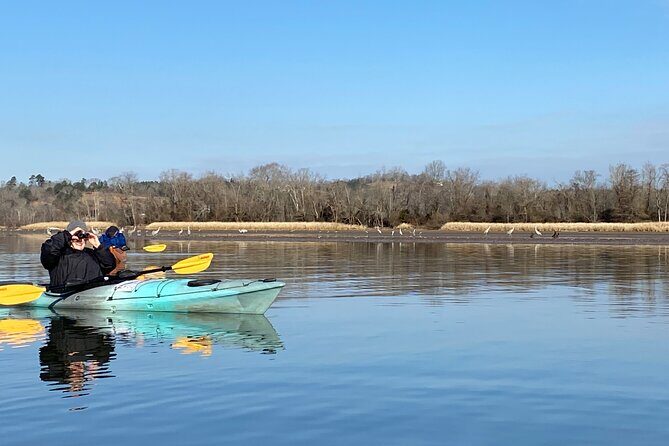 Sandhill Crane Kayak Tour with Chattanooga Guided Adventures - What the Reviews Reveal