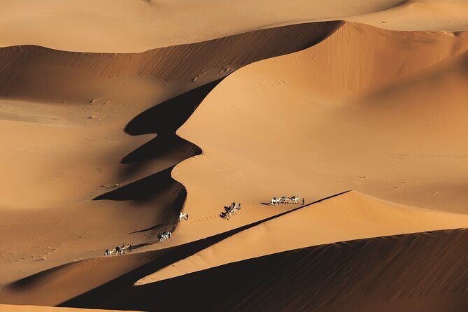 Sanding Ball in Merzouga: Experience the sand dunes on a zorbing activity - FAQ