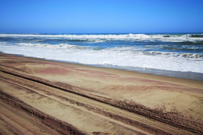 Sandwhich Harbour Dune 4x4 Full Day - What Travelers Say