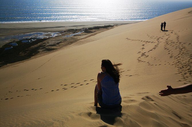 Sandwhich Harbour Dune 4x4 Half day - A Closer Look at the Experience