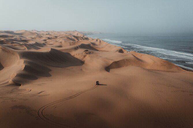Sandwich Harbour 4x4 Half Day Experience with Beach Braai - Key Points