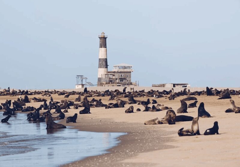 Sandwich Harbour Full Day 4x4 Adventure - Who Will Love This Tour?