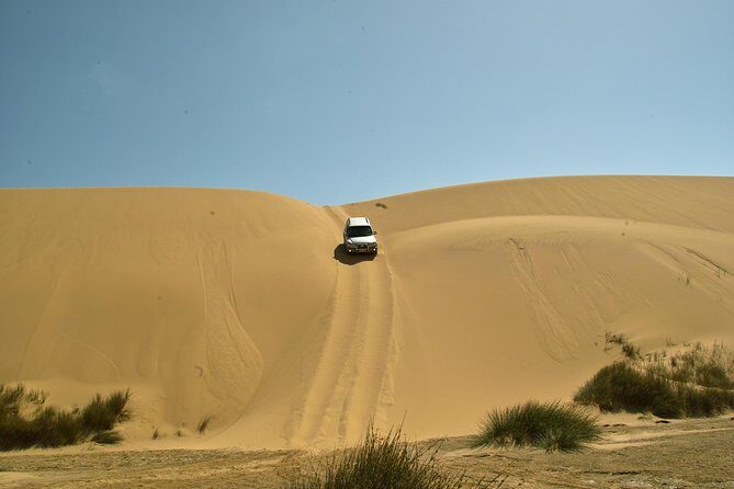 Sandwich Harbour Guided, Self-Drive Tour - Practical Tips for Your Trip