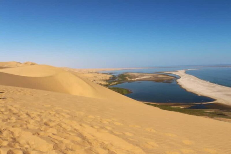 Sandwich Harbour: Namibias Ultimate Desert Meets Ocean Tour - An In-Depth Look at the Sandwich Harbour Experience
