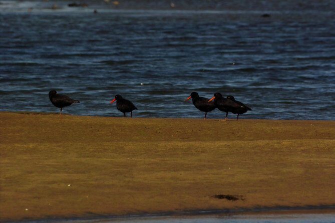 Sandwich Harbour & Pelican Point Full Day Tour - The Sum Up
