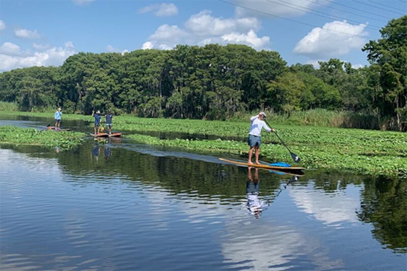Sanford: Guided SUP or Kayak Manatee-Watching Tour - Detailed Breakdown of the Tour Experience