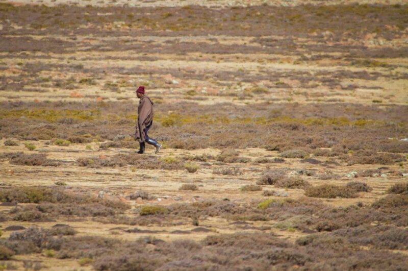 Sani Pass and Mokhotlong in Two Days - Who Will Love This Tour?