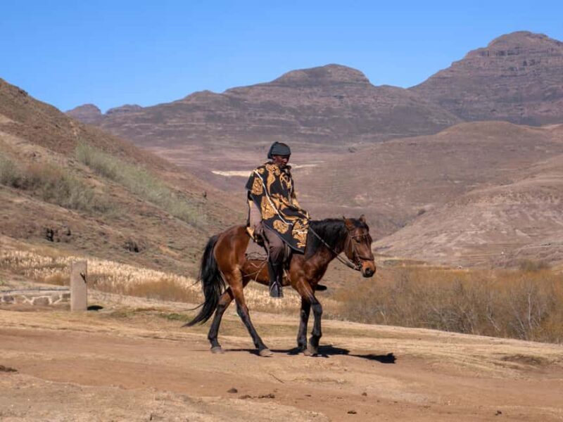Sani Pass Private Tour from Durban - An In-Depth Look at the Tour
