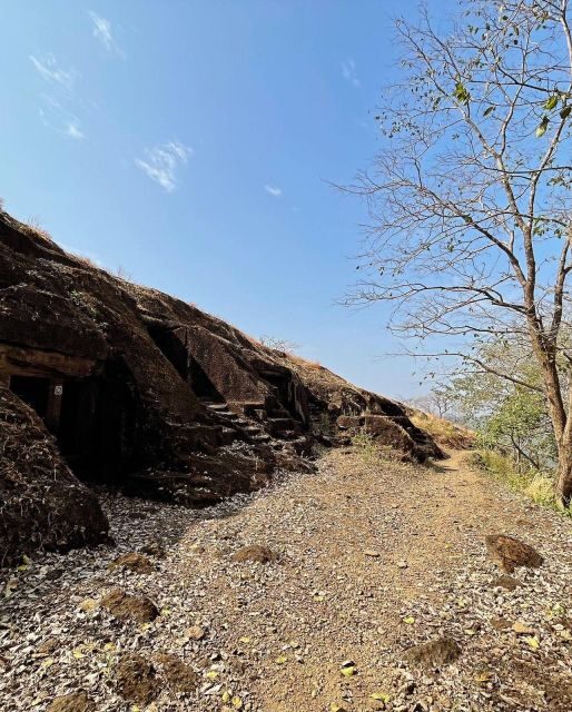 Sanjay Gandhi National Park + Kenheri Caves + Lion Safari - An Authentic Taste of Mumbai’s Natural and Cultural Wealth