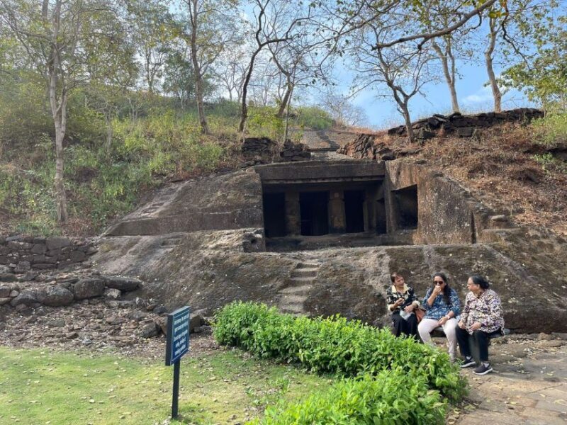 Sanjay Gandhi National Park + Kenheri Caves + Lion Safari - Practical Details and Tips