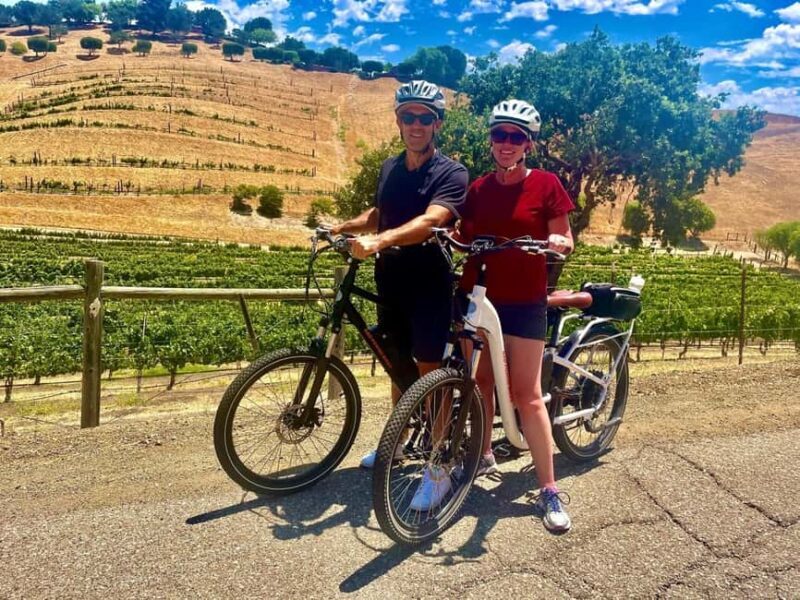 Santa Barbara: E-bike wine tour w/ transport, tasting, lunch - Practical Considerations
