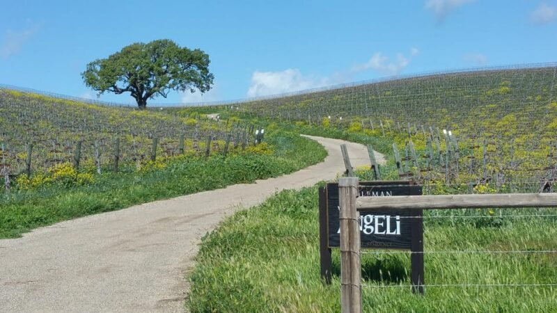 Santa Barbara: E-bike wine tour w/ transport, tasting, lunch - Why This Tour Is a Great Choice