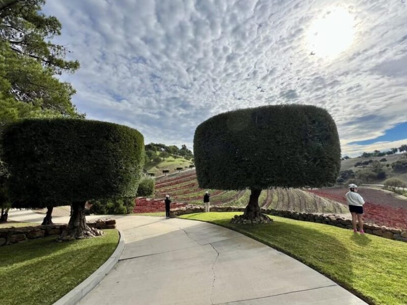 Santa Barbara: E-bike wine tour w/ transport, tasting, lunch - Final Thoughts