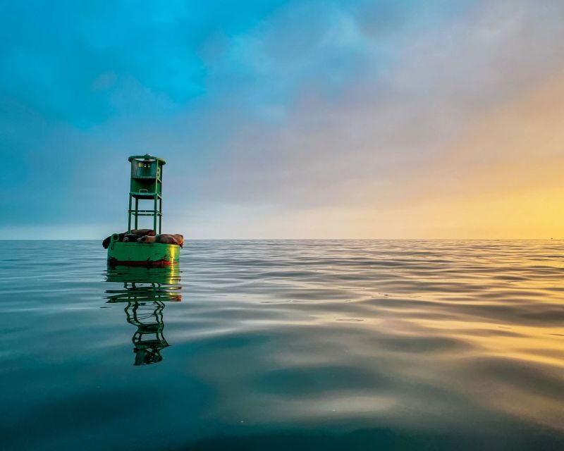 Santa Barbara Harbor: Sunset Kayak Tour (2 Hours) - What Travelers Are Saying