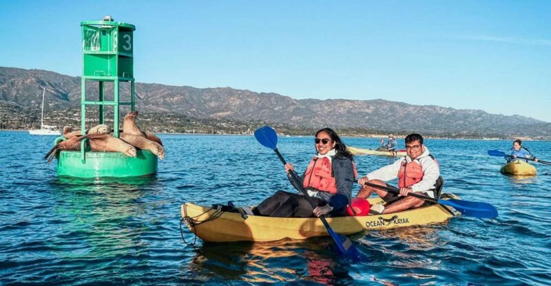 Santa Barbara Harbor: Wildlife Kayak Tour (2 Hours) - A Closer Look at the Experience