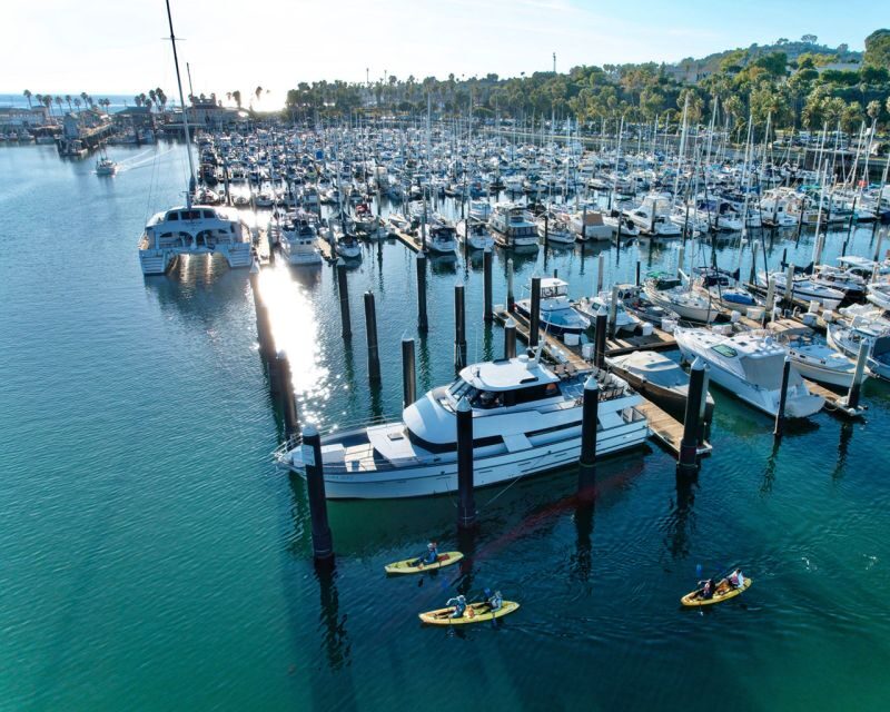 Santa Barbara Harbor: Wildlife Kayak Tour (2 Hours) - FAQ